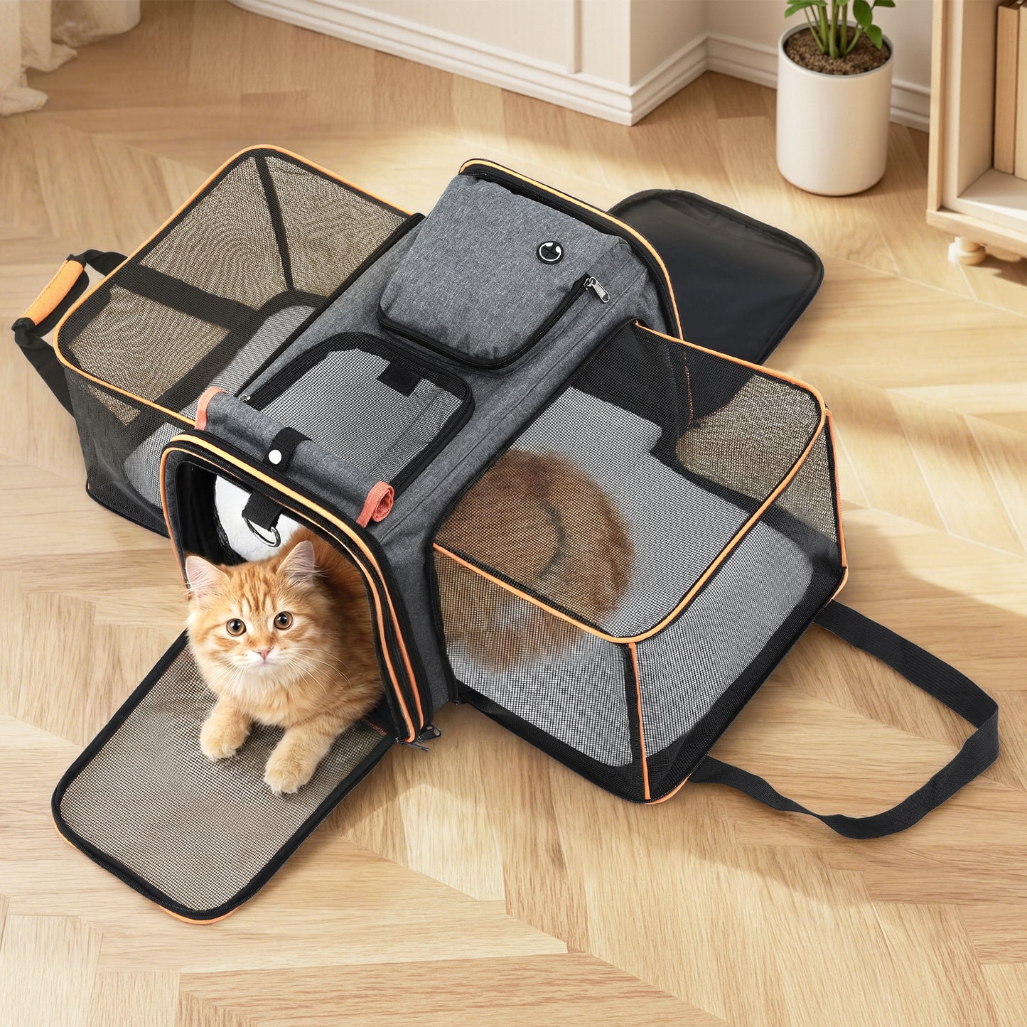 i.Pet Pet Carrier Bag Expandable Foldable Dog & Cat Travel Carrier Airline Approved Portable Kennel