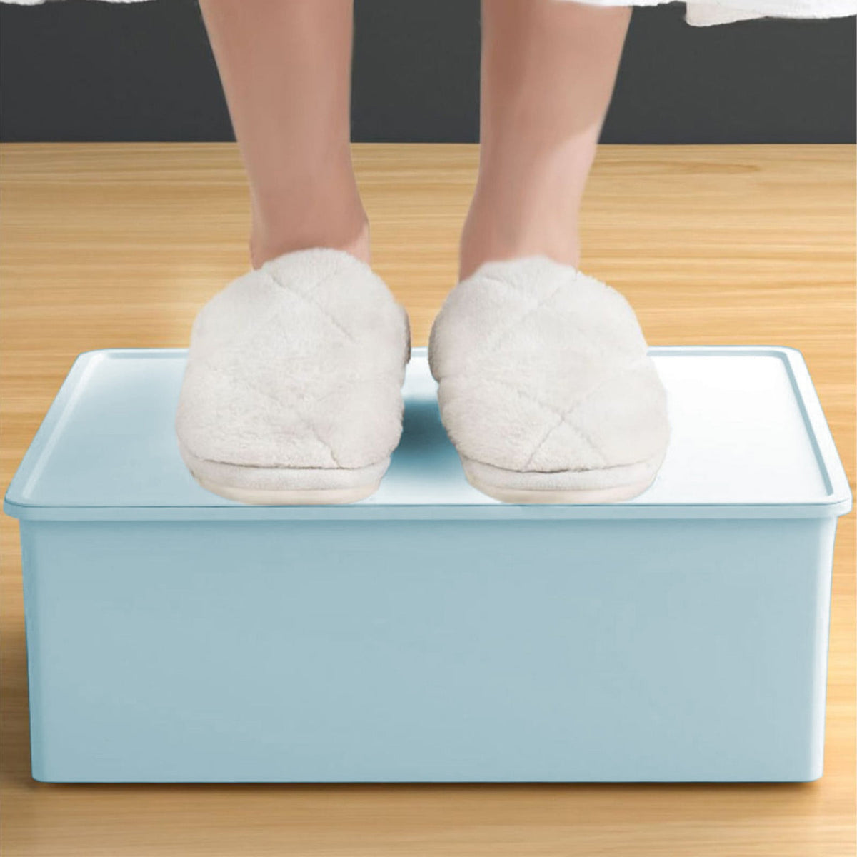 Sock & Underwear Drawer Organizer Storage Bin with Lid