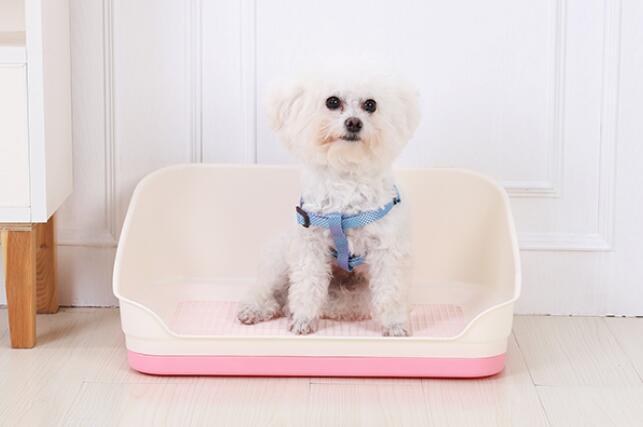 YES4PETS Portable Dog Rabbit Potty Training Tray Pet Puppy Toilet Trays Loo Pad