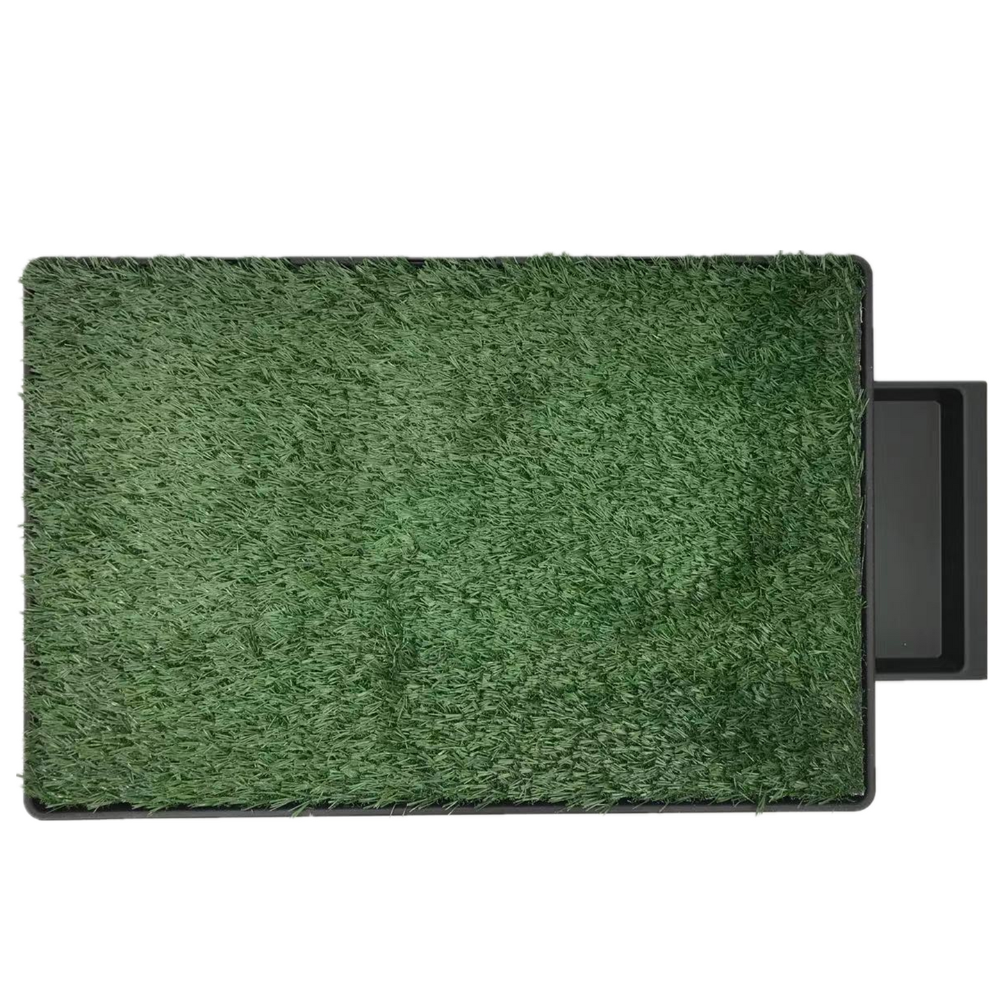 XL Indoor Dog Toilet Grass Potty Training Mat with Tray Puppy Pee Pad 2 or 3 Grass Mats