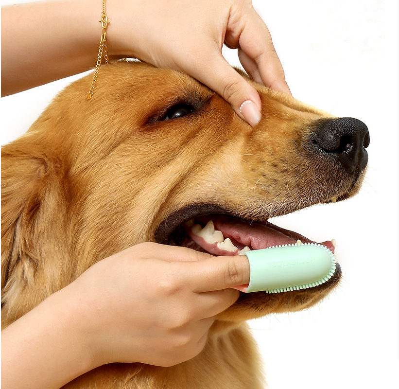 Pet Finger Toothbrush 5 Pack Silicone Dog & Cat Dental Cleaning Brush Soft Gum Care