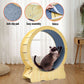 Cat Running Wheel Cat Running Wheel Ultra-Quiet Treadmill Exerciser Scratcher with Anti-Slip Carpet Detachable Runway and Safety Latch Cat Sport Runner Toy