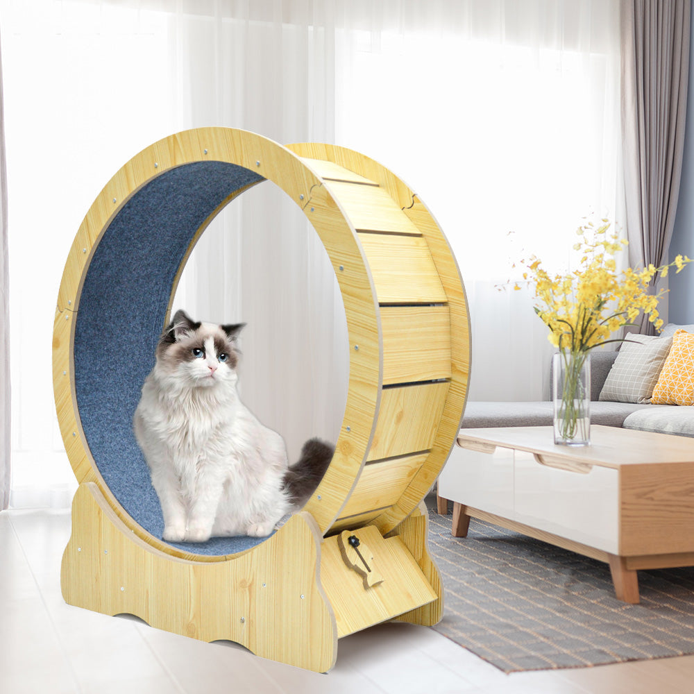 Cat Running Wheel Cat Running Wheel Ultra-Quiet Treadmill Exerciser Scratcher with Anti-Slip Carpet Detachable Runway and Safety Latch Cat Sport Runner Toy